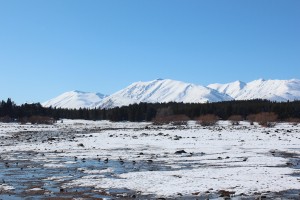 Timaru - Lake Tekapo-011